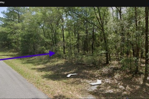 Land in Citrus Springs, Florida № 2234902 - photo 4