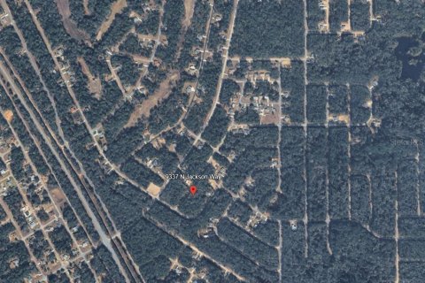 Land in Citrus Springs, Florida № 2234902 - photo 3