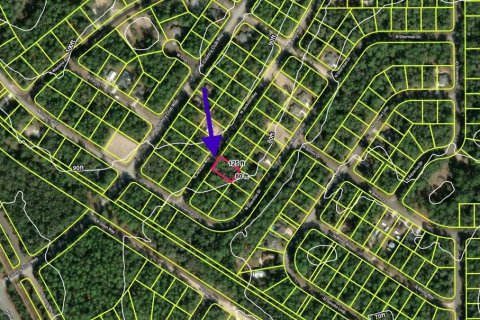 Land in Citrus Springs, Florida № 2234902 - photo 2