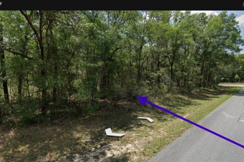 Land in Citrus Springs, Florida № 2234902