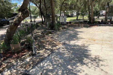 Terrain à Salt Springs, Floride № 2337234