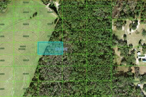 Terreno en Polk City, Florida № 2235138
