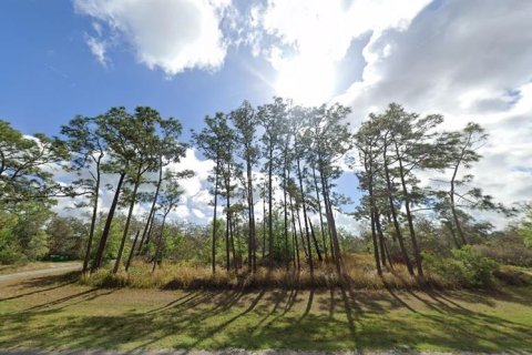 Terreno en venta en Polk City, Florida № 2235138 - foto 2
