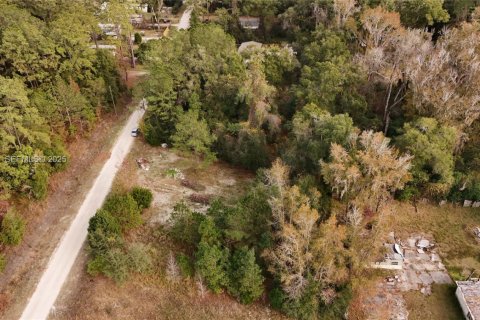 Terrain à vendre à Ocala, Floride № 2158119 - photo 6