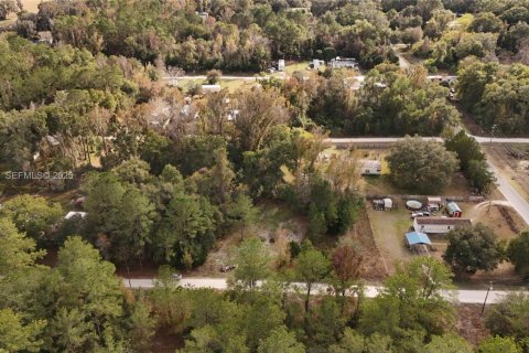 Terrain à vendre à Ocala, Floride № 2158119 - photo 21