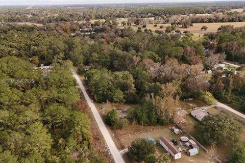 Terrain à vendre à Ocala, Floride № 2158119 - photo 16