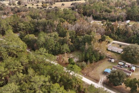 Terrain à vendre à Ocala, Floride № 2158119 - photo 13