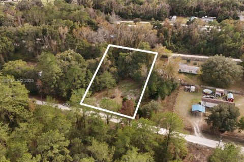Terrain à vendre à Ocala, Floride № 2158119 - photo 3