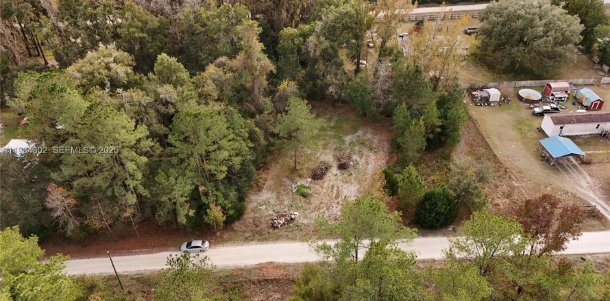 Terrain à Ocala, Floride № 2158119