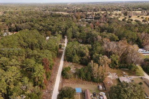 Terrain à vendre à Ocala, Floride № 2158119 - photo 17
