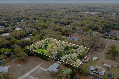 Land in DeLand, Florida № 2213214