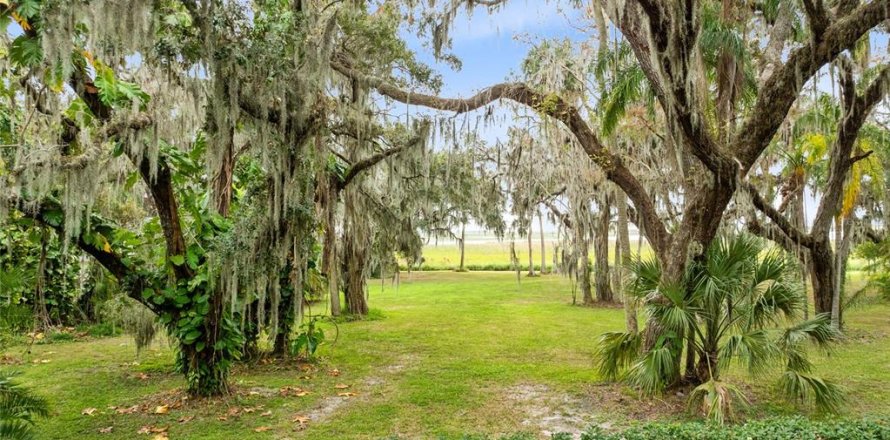 Terrain à Kissimmee, Floride № 1534463