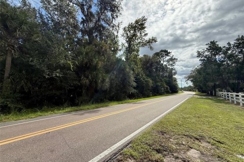 Land in New Smyrna Beach, Florida № 2108713