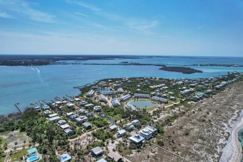 Villa ou maison à louer à Placida, Floride: 3 chambres, 104.61 m2 № 502084 - photo 19