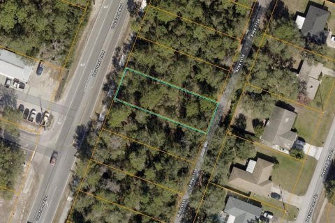 Land in Deltona, Florida № 2394139 - photo 2