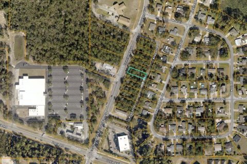 Land in Deltona, Florida № 2394139 - photo 3