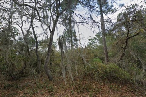 Land in Deltona, Florida № 2394139 - photo 4