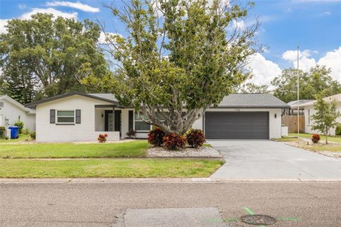 House in Dunedin, Florida 3 bedrooms, 185.8 sq.m. № 1876782 - photo 1