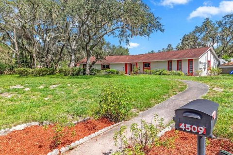Casa en venta en Brandon, Florida, 4 dormitorios, 232.81 m2 № 1907915 - foto 3