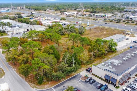 Land in Brooksville, Florida № 1624680 - photo 3