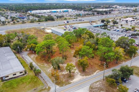 Land in Brooksville, Florida № 1624680 - photo 5
