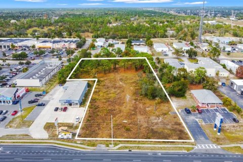 Land in Brooksville, Florida № 1624680 - photo 2
