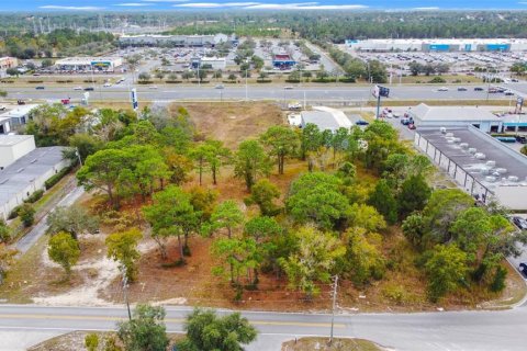 Land in Brooksville, Florida № 1624680 - photo 4