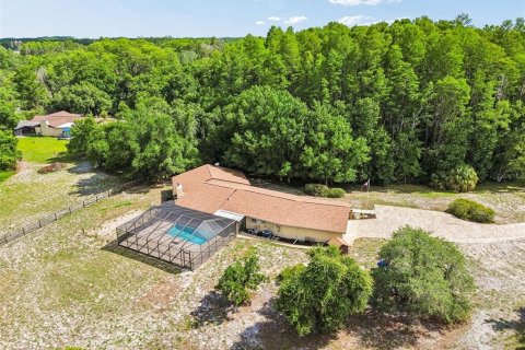 Villa ou maison à vendre à New Port Richey, Floride: 4 chambres, 259.1 m2 № 2147624 - photo 27