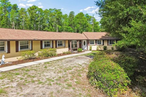 Villa ou maison à vendre à New Port Richey, Floride: 4 chambres, 259.1 m2 № 2147624 - photo 25