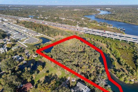 Land in Riverview, Florida № 2214655 - photo 11