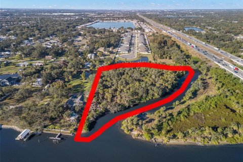 Land in Riverview, Florida № 2214655 - photo 15