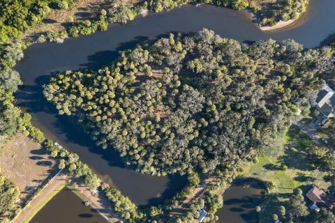 Land in Riverview, Florida № 2214655 - photo 3