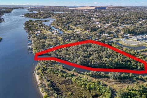 Land in Riverview, Florida № 2214655 - photo 19