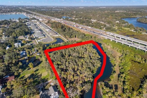 Land in Riverview, Florida № 2214655 - photo 13
