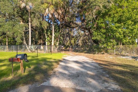 Land in Riverview, Florida № 2214655 - photo 20
