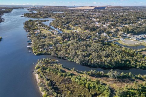 Land in Riverview, Florida № 2214655 - photo 18
