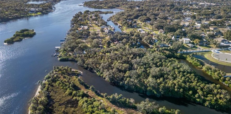 Land in Riverview, Florida № 2214655
