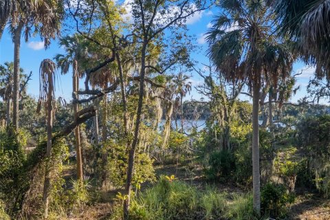 Land in Riverview, Florida № 2214655 - photo 21