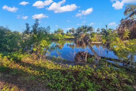 Land in Riverview, Florida № 2214655 - photo 2