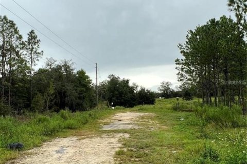 Terreno en venta en Inverness, Florida № 1902973 - foto 2