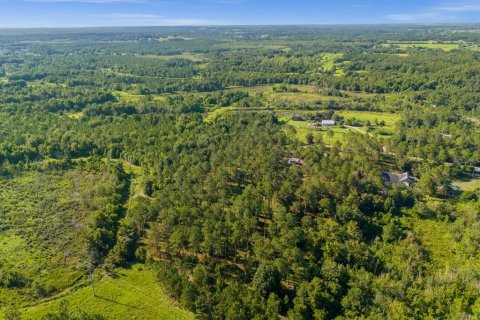 Land in Howey-in-the-Hills, Florida № 1296165 - photo 14