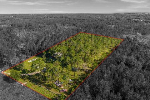 Land in Howey-in-the-Hills, Florida № 1296165 - photo 3