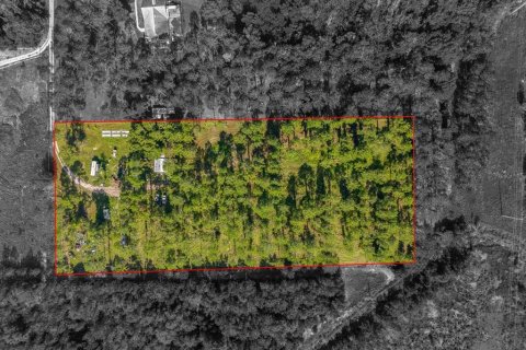 Land in Howey-in-the-Hills, Florida № 1296165 - photo 4