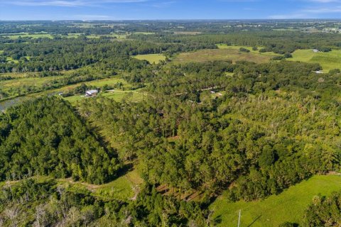Land in Howey-in-the-Hills, Florida № 1296165 - photo 12
