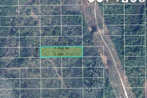 Land in Orlando, Florida № 2118552