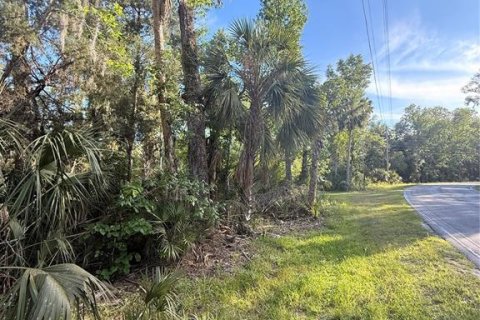 Terreno en venta en Crystal River, Florida № 2161703 - foto 6