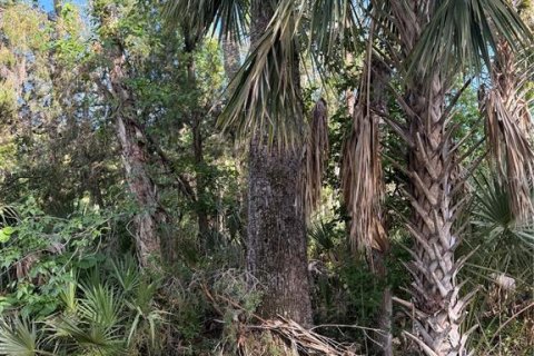 Terreno en venta en Crystal River, Florida № 2161703 - foto 4