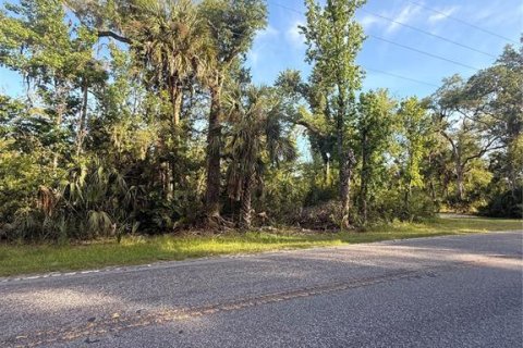 Terreno en venta en Crystal River, Florida № 2161703 - foto 3