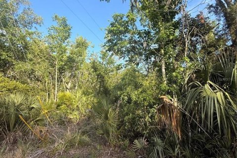 Terreno en venta en Crystal River, Florida № 2161703 - foto 7