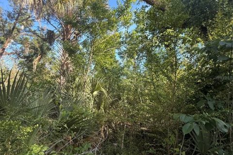 Terreno en venta en Crystal River, Florida № 2161703 - foto 5